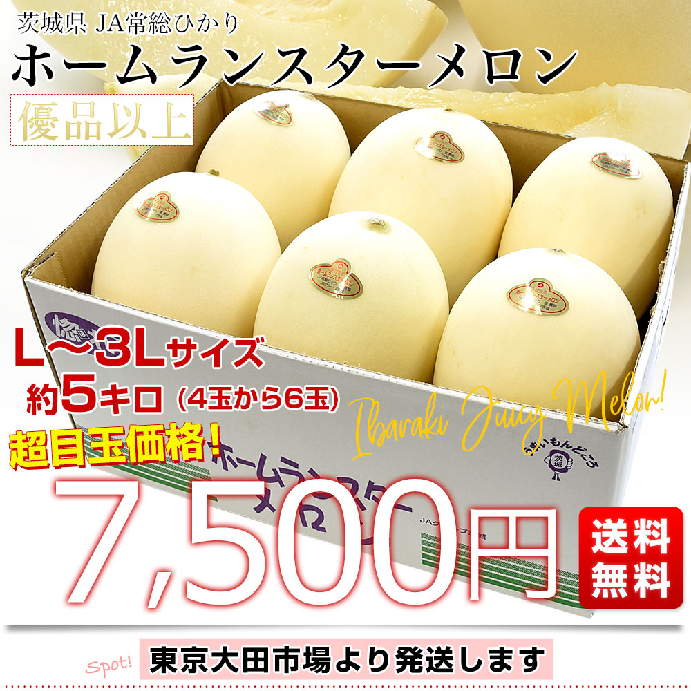 茨城県産 JA常総ひかり ホームランスターメロン Lから3Lサイズ 優品以上 約5キロ(4玉から6玉) 送料無料 メロン めろん 市場発送｜sanchokudayori｜03