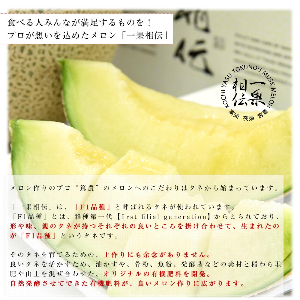高知県産 最高級マスクメロン「一果相伝(いっかそうでん)」上級品 1玉