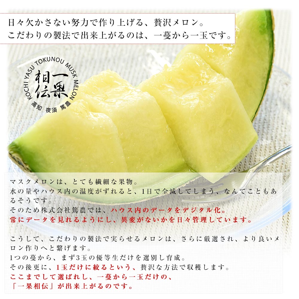 高知県産 最高級マスクメロン「一果相伝(いっかそうでん)」上級品 1玉