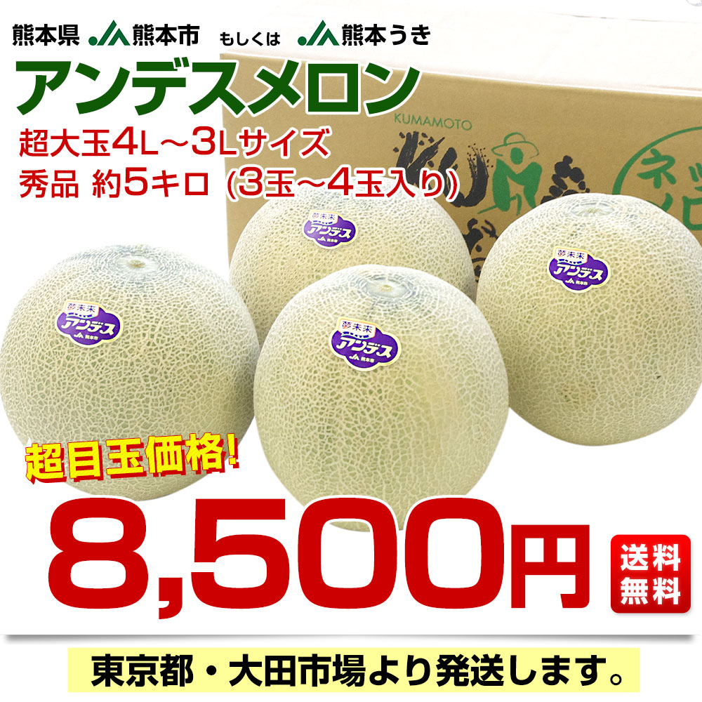 熊本県産 JA熊本市又はJA熊本うき アンデスメロン 4Lから3L