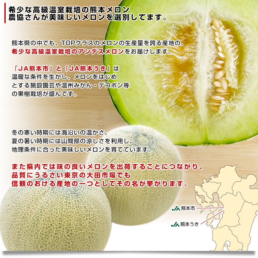 メロン 熊本産 ご家庭用 アンデスメロン 約4kg 送料無料 食品
