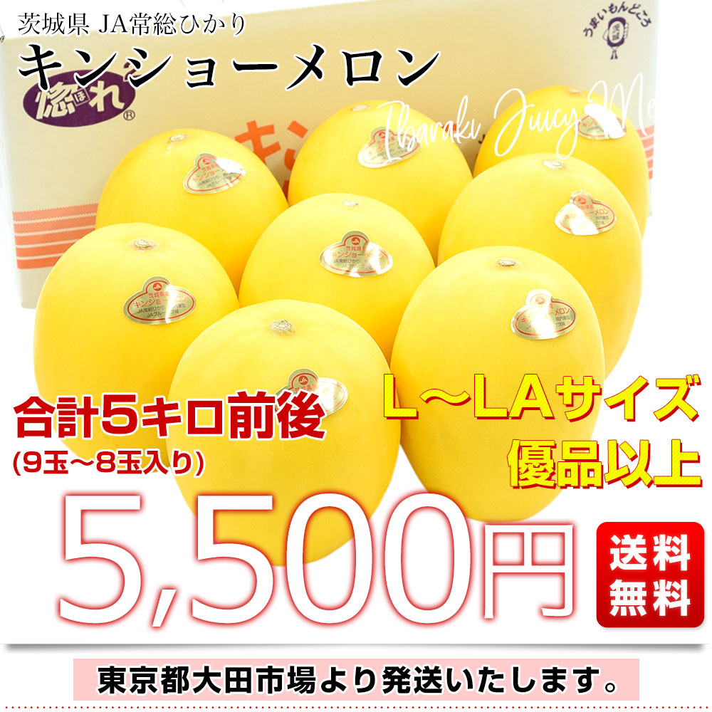 茨城県産 JA常総ひかり キンショーメロン LからLAサイズ 優品以上 合計5キロ前後(9玉から8玉入り) 送料無料 めろん ノーネットメロン｜sanchokudayori｜03