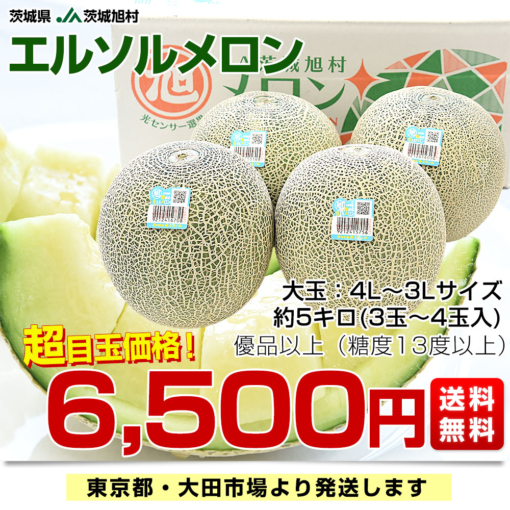 茨城県産 JA茨城旭村 エルソルメロン 優品以上 大玉 4Lから3Lサイズ 約