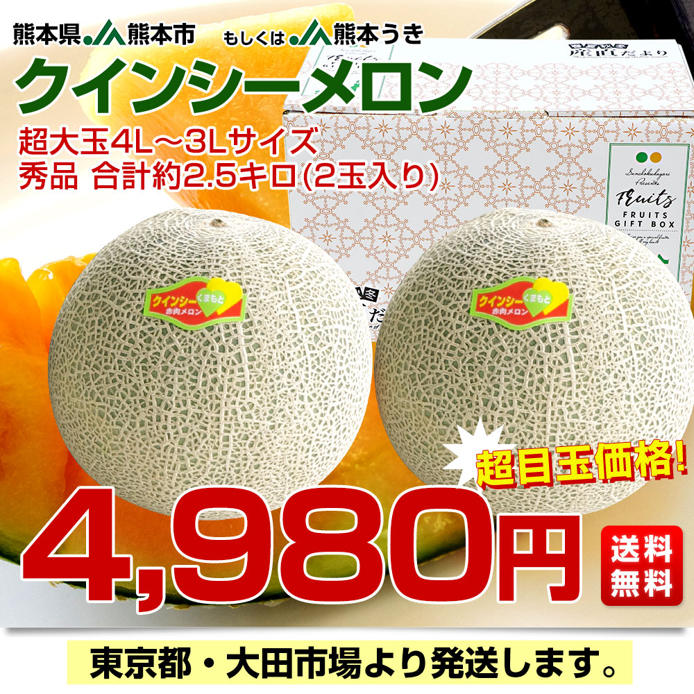 熊本県産 JA熊本市又はJA熊本うき クインシーメロン 超大玉 4Lから3Lサイズ 秀品 合計約2.5キロ (2玉入) 送料無料 赤肉 めろん メロン