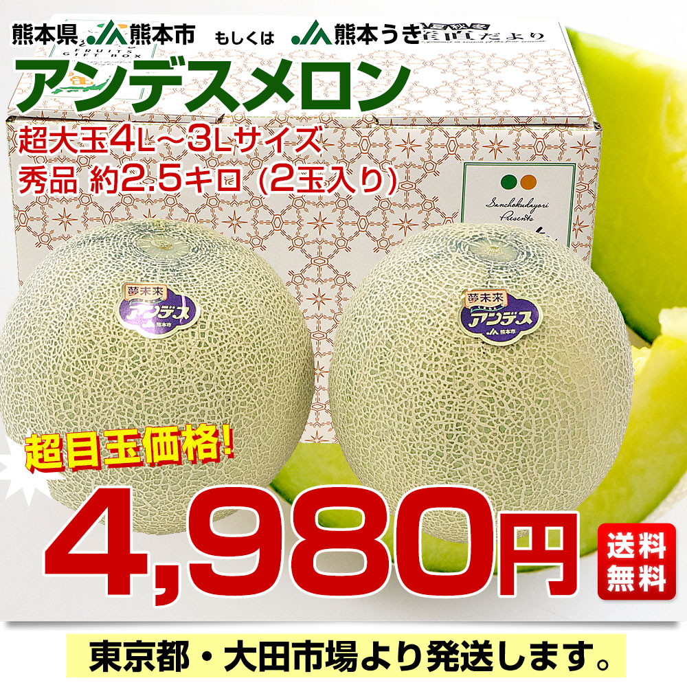 熊本県産 JA熊本市又はJA熊本うき アンデスメロン 4Lから3L