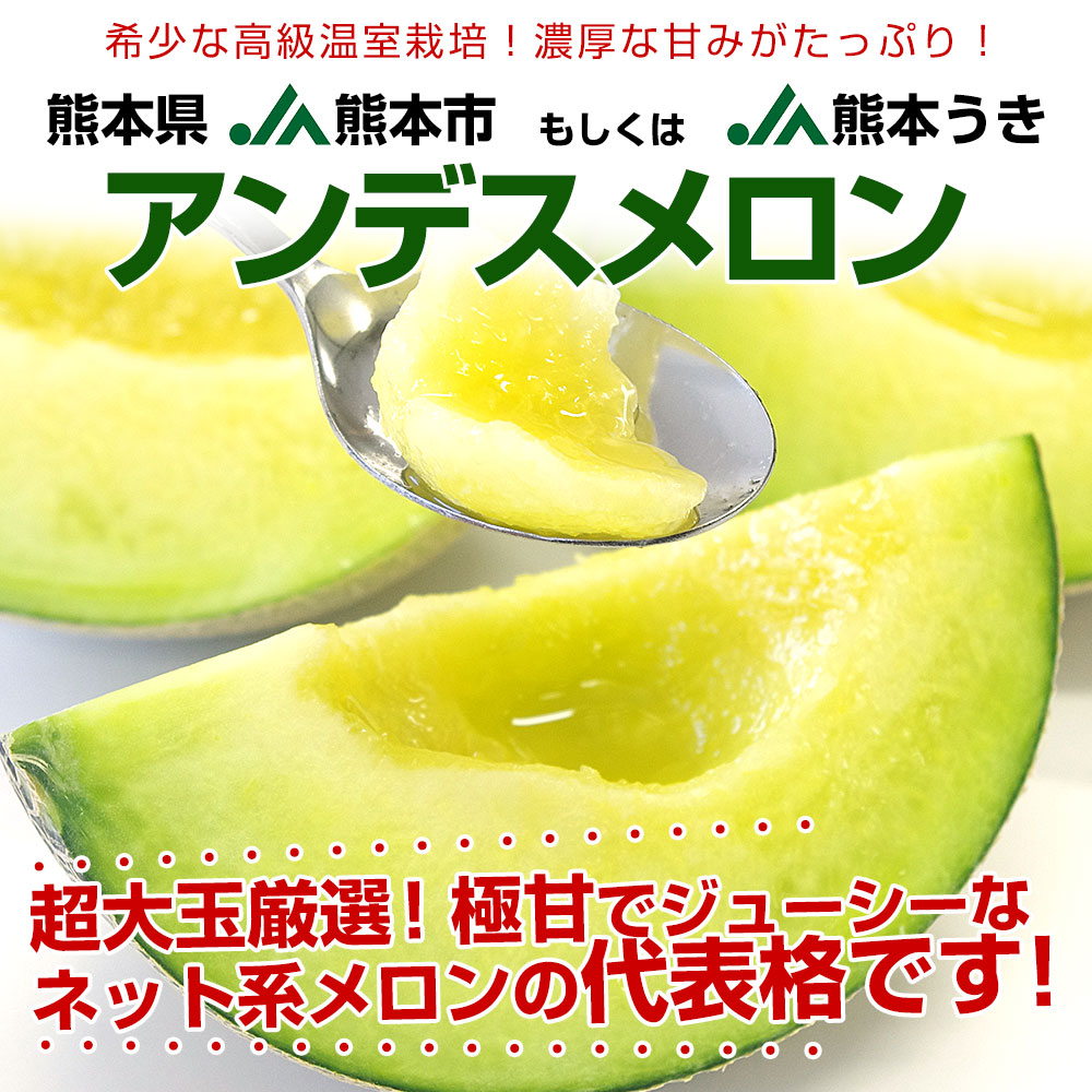 りりぽん ＊2箱＊セット 熊本産アンデスメロン 2Lサイズ5玉5キロ メロン アンデスメロン 優品アップ 約5kg 2L～3Lサイズ 4～5玉