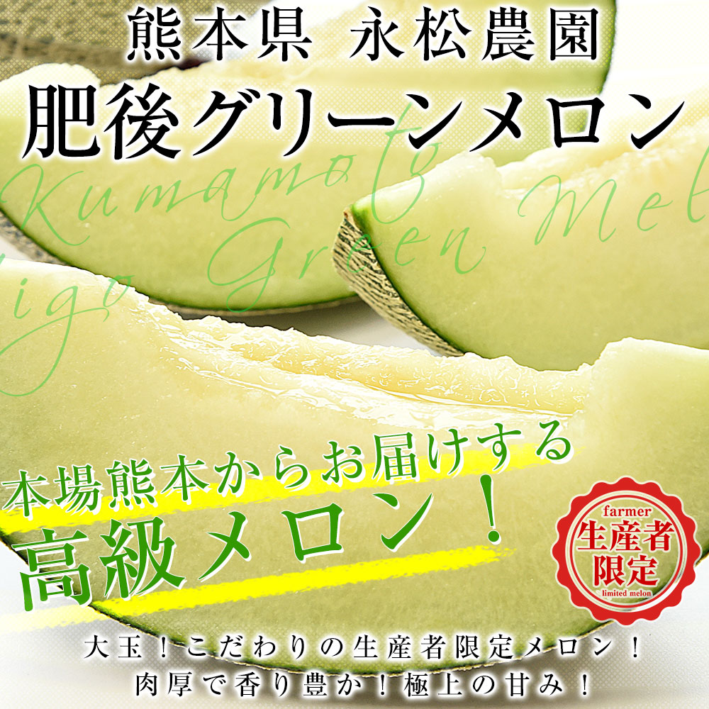 熊本県より産地直送 永松農園 肥後グリーンメロン 秀品 大玉4Lサイズ