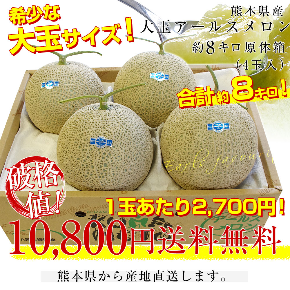 熊本県産 大玉アールスメロン 約8キロ原体箱（4玉入）送料無料 めろん