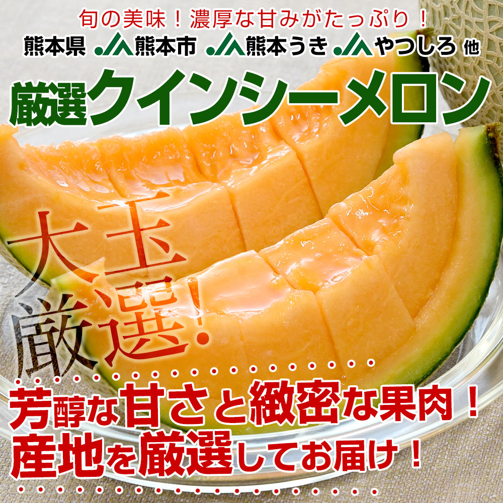熊本県から産地直送 厳選クインシーメロン 大玉3Lサイズ 優品以上 約