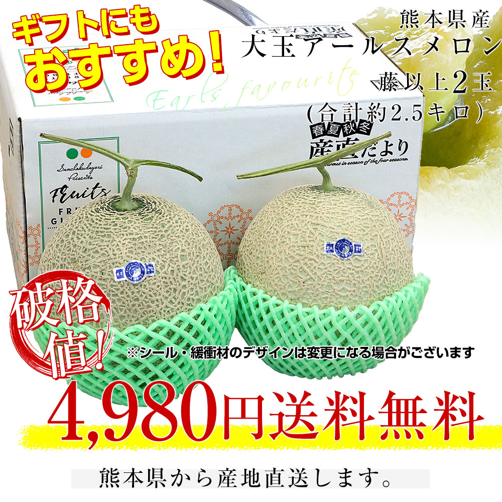九州から産地直送 アールスメロン 2玉（合計約2.5キロ）送料無料 青肉