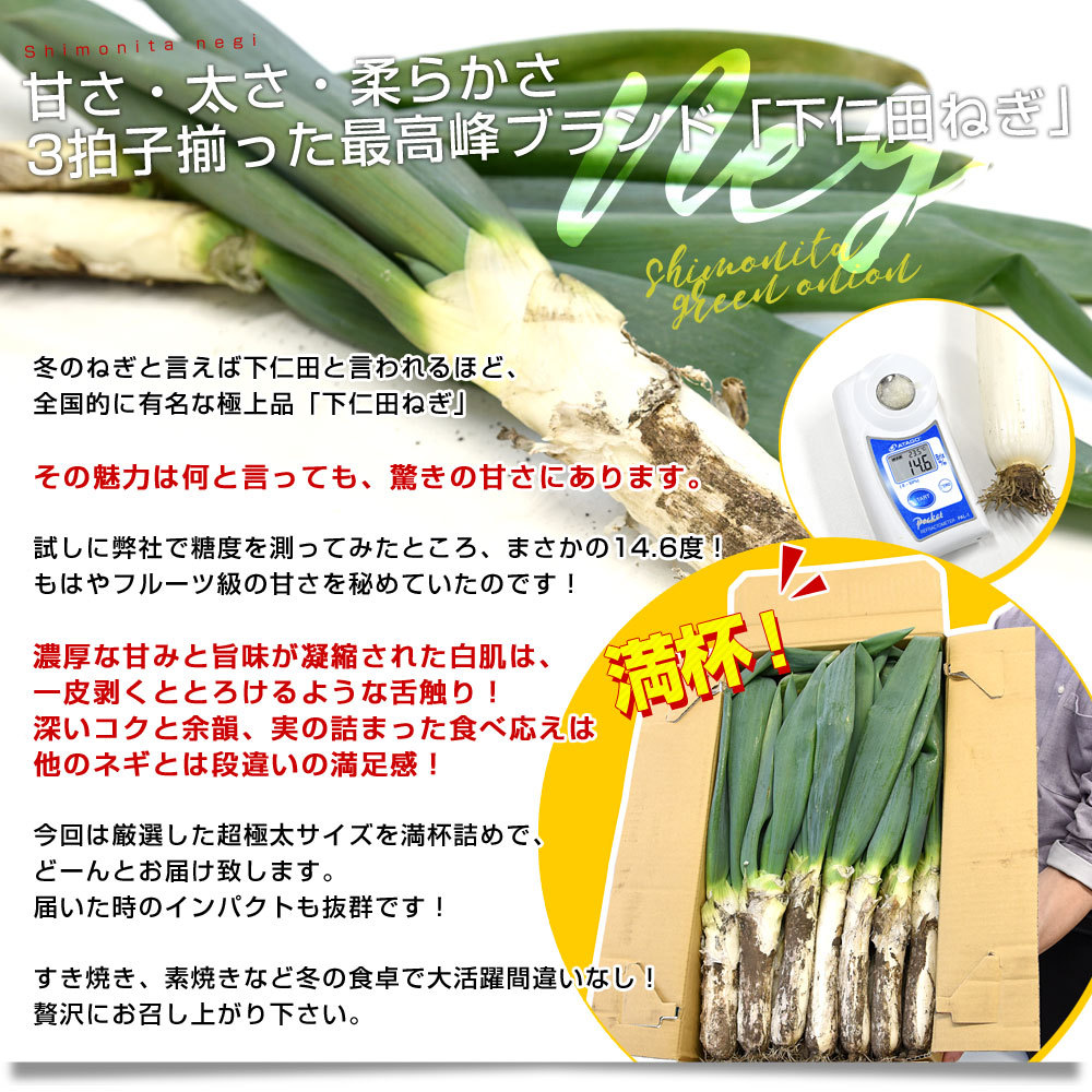 群馬県産 JA全農ぐんま 下仁田ねぎ 約4キロ（3Lから2L 15本から20本） 送料無料 市場発送 葱 ネギ 長ネギ しもにた クール便  :1338872830:産直だより - 通販 - Yahoo!ショッピング