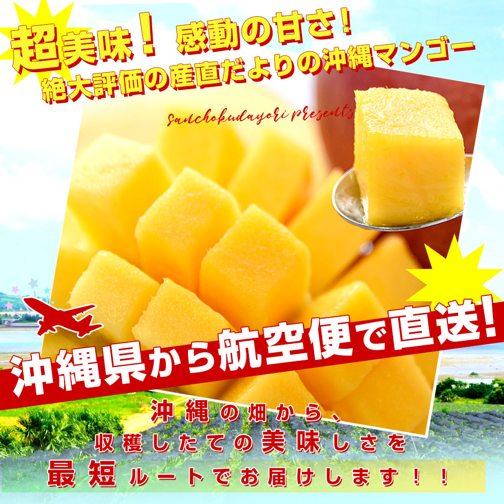 沖縄県より産地直送 JAおきなわ 完熟沖縄マンゴー 約2キロ (4玉から7玉