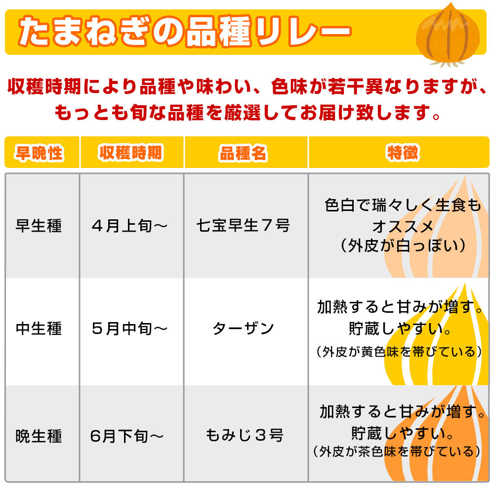 淡路島産 JAあわじ島 淡路島たまねぎ 秀品 Lサイズ ３キロ（10玉前後） 送料無料 玉ねぎ タマネギ 玉葱 玉ネギ 兵庫 あわじしま 大田市場発送品  :4100922800:産直だより - 通販 - Yahoo!ショッピング