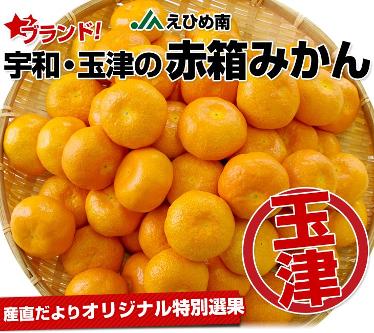 愛媛県より産地直送 JAえひめ南 玉津共選場 玉津の赤箱みかん LからM