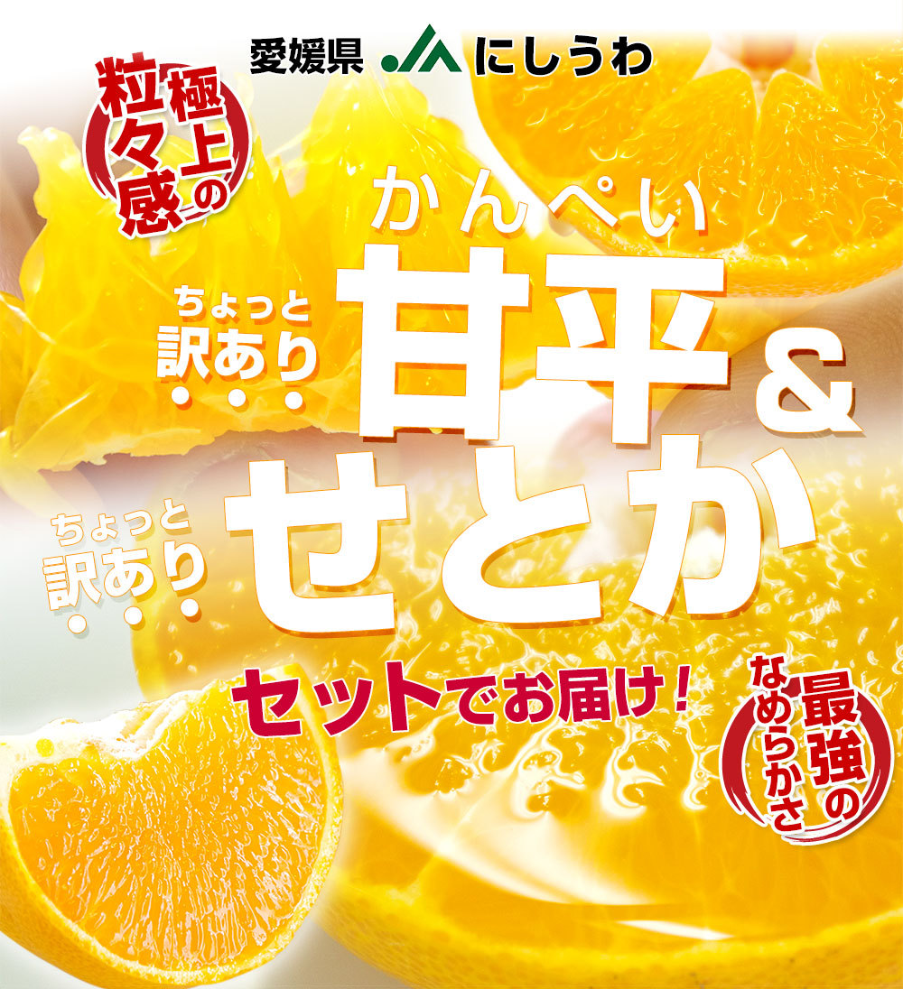 愛媛県産 JAにしうわ 甘平＆せとかセット 良品 ちょっと訳あり 合計5