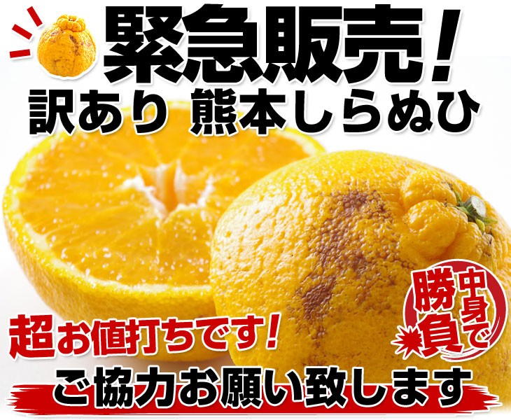 熊本県より産地直送 JAあまくさ 訳あり熊本しらぬひ 大小込 10キロ