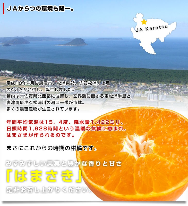 佐賀県産 JAからつ はまさき 小玉 SSサイズ 2.5キロ (20から25玉 佐賀県産 JAからつ はまさき 小玉 SSサイズ 2.5キロ (20から25玉