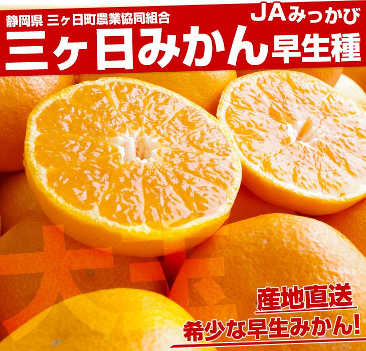 静岡県より産地直送 JAみっかび 三ケ日みかん (早生品種) 大玉2L