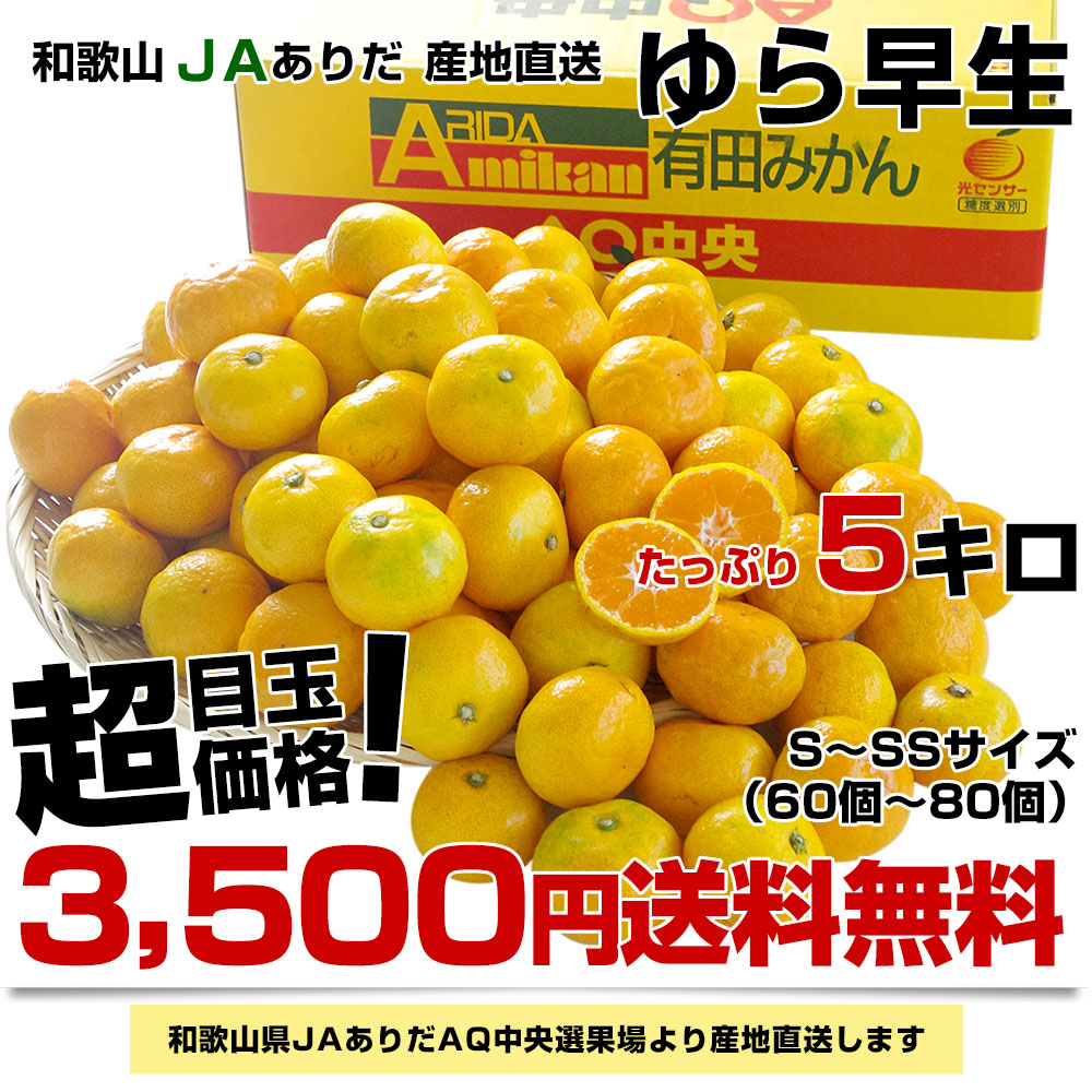 和歌山県より産地直送 JAありだ ゆら早生みかん 約5キロ SからSSサイズ 蜜柑 ミカン 送料無料 :1200581715:産直だより - 通販 -  Yahoo!ショッピング