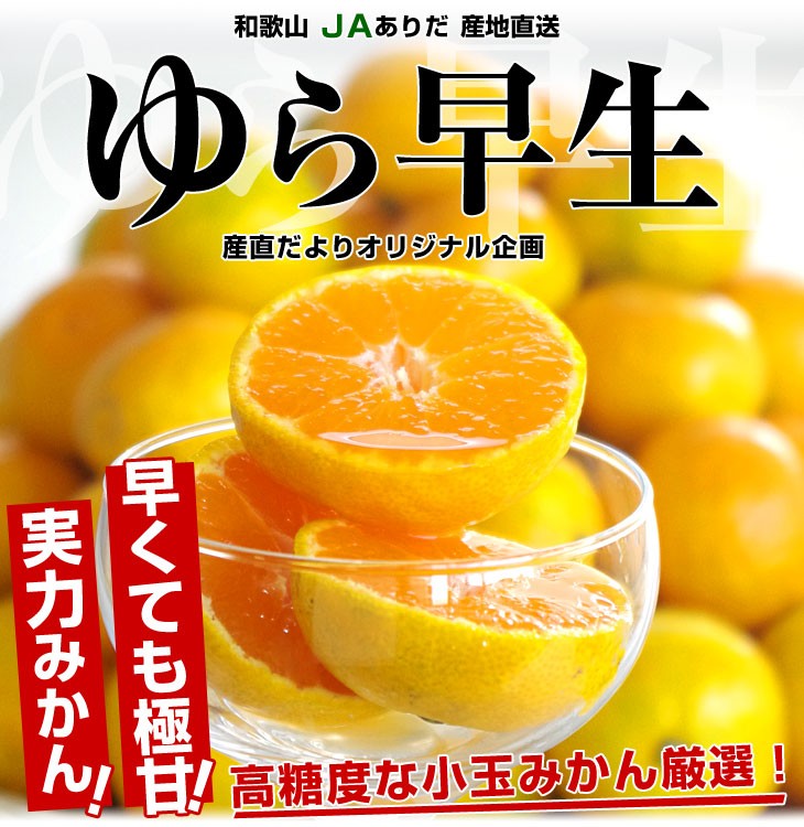 和歌山県より産地直送 JAありだ ゆら早生みかん 約5キロ SからSSサイズ 蜜柑 ミカン 送料無料 :1200581715:産直だより - 通販 -  Yahoo!ショッピング