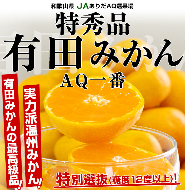 和歌山県より産地直送 JAありだ 有田みかん 糖度12度以上 特秀品「AQ一