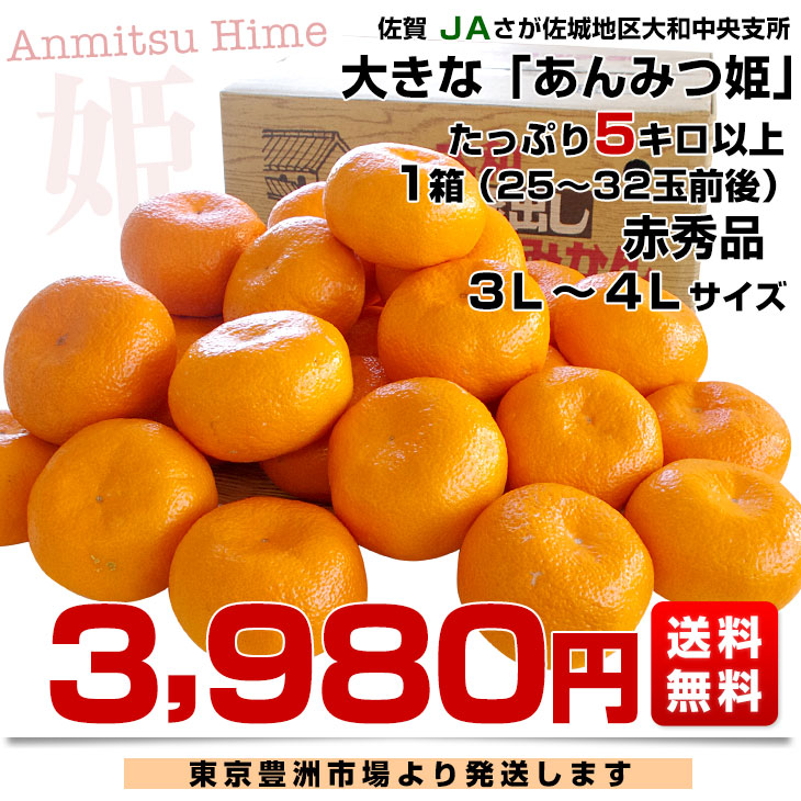 佐賀県産 JAさが 佐城地区大和中央支所 蔵出しみかん あんみつ姫 5キロ 