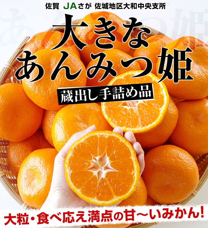 佐賀県産 JAさが 佐城地区大和中央支所 蔵出しみかん あんみつ姫 5キロ 