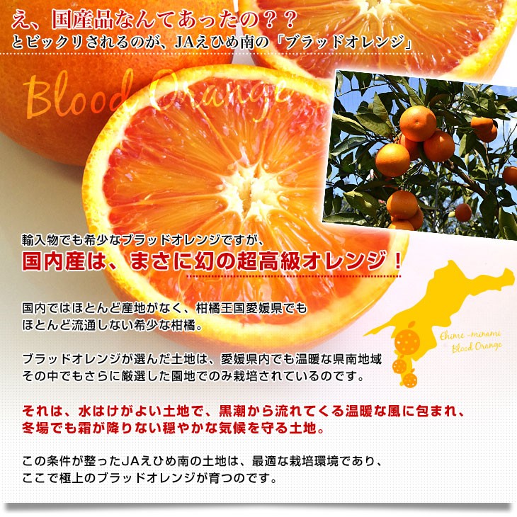 愛媛県産 JAえひめ南 ブラッドオレンジ タロッコ種 優品 2Lから3L
