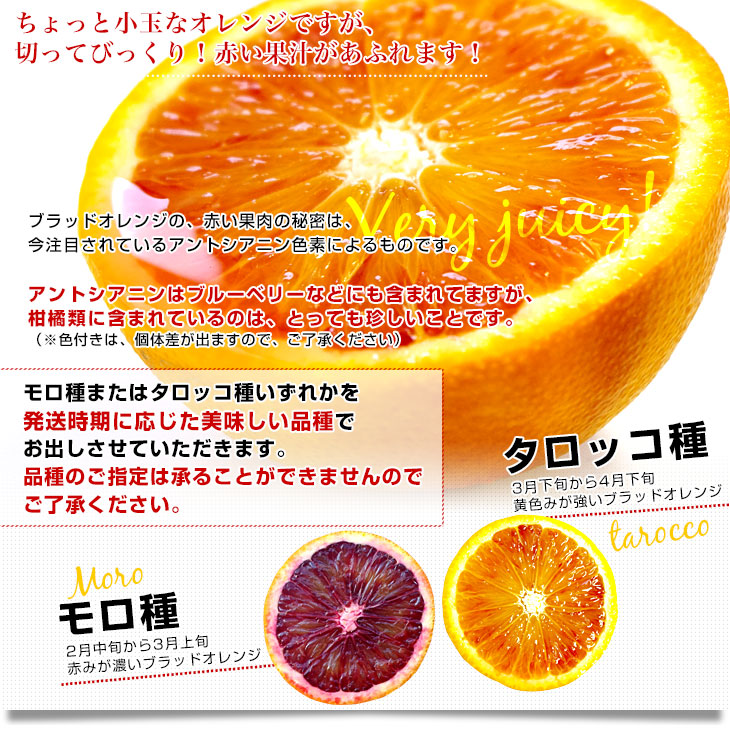 愛媛県より産地直送 JAえひめ南 ブラッドオレンジ 優品 5キロ (30玉
