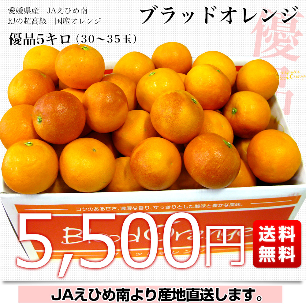 愛媛県より産地直送 JAえひめ南 ブラッドオレンジ 優品 5キロ (30玉