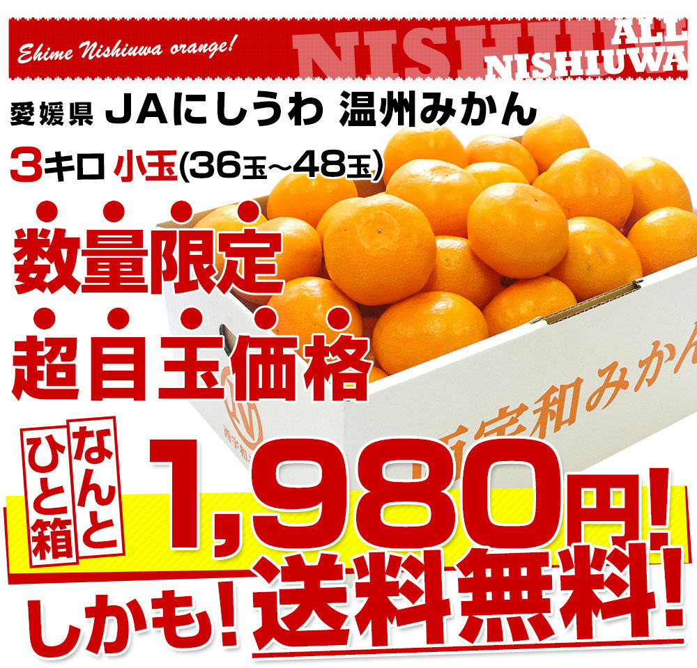 みかん様③