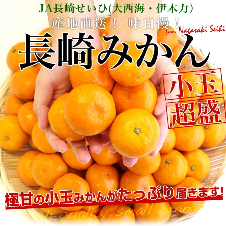 長崎県より産地直送 Ja長崎せいひ 長崎みかん 小玉 Sからssサイズ 5キロ 蜜柑 ミカン 送料無料 産直だより 通販 Yahoo ショッピング