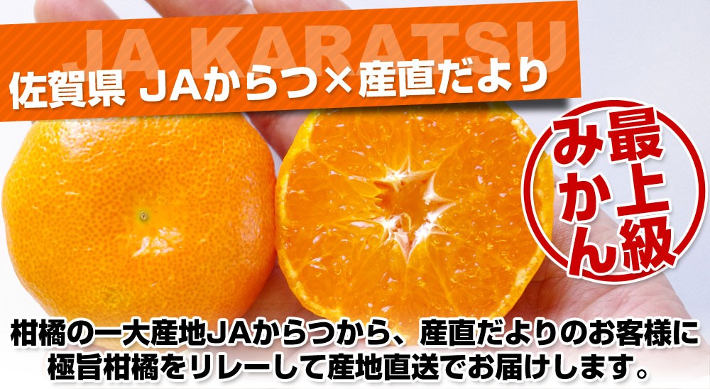 佐賀県より産地直送 JAからつ 高糖度特秀みかん オンリーワン（OnlyOne