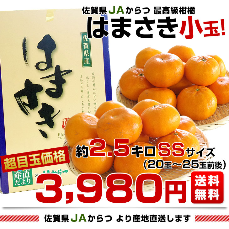 佐賀県より産地直送 JAからつ はまさき 小玉 SSサイズ 2.5キロ (20から25玉前後) 送料無料 唐津 浜崎