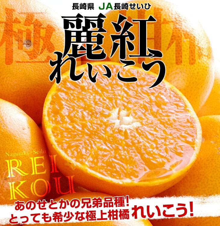 長崎県より産地直送 JA長崎せいひ 麗紅 (れいこう) 3LからLサイズ 優品