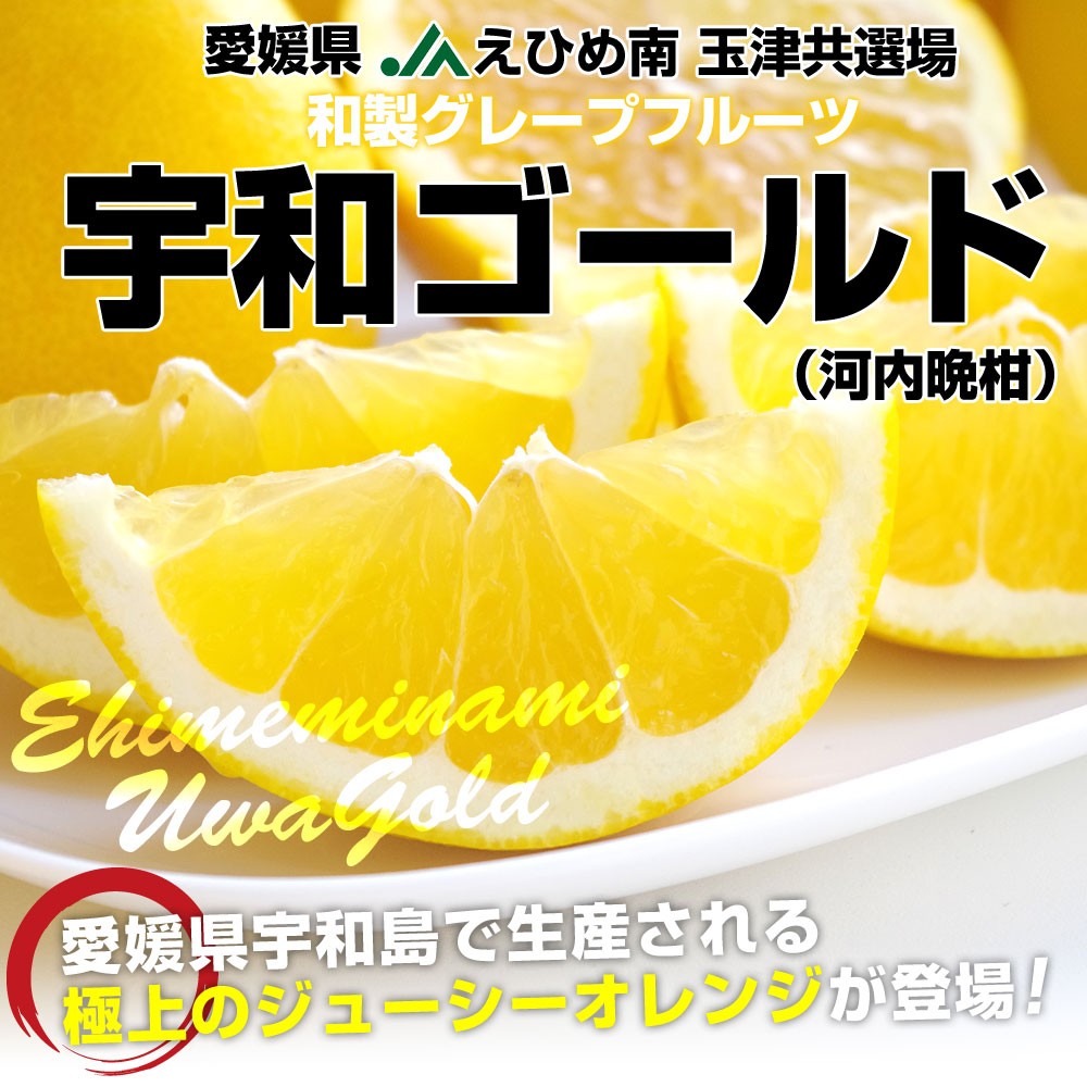 愛媛県より産地直送 JAえひめ南 玉津共選場 宇和ゴールド 優品 3LからMサイズ 7.5キロ (15玉から24玉) 送料無料 柑橘 オレンジ 河内晩柑 宇和島 吉田町 :1200052188:産直だより - 通販 - Yahoo!ショッピング