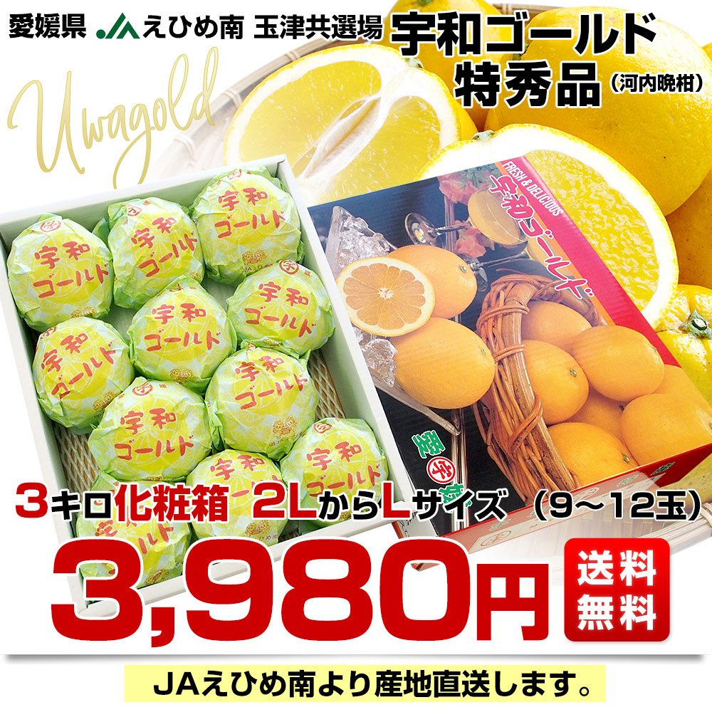愛媛県より産地直送 JAえひめ南 玉津共選場 宇和ゴールド 特秀品 2LからLサイズ ３キロ化粧箱 (9玉から12玉) 送料無料 柑橘 オレンジ 河内晩柑 宇和島 吉田町 |  | 02