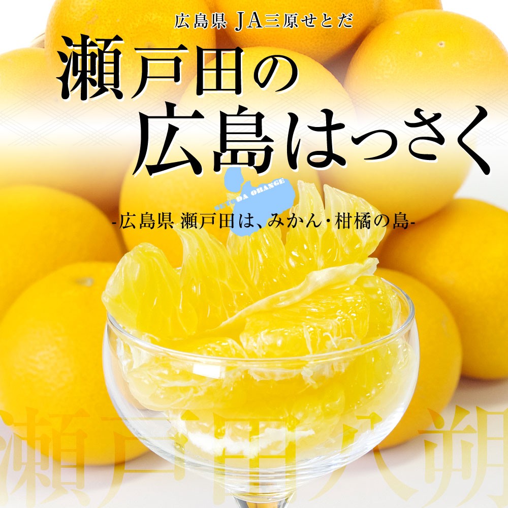 広島県産 JA三原せとだ 「瀬戸田の広島はっさく（八朔）」 10キロ 優以上 Lから２Lサイズ （28玉から32玉）柑橘 かんきつ 送料無料