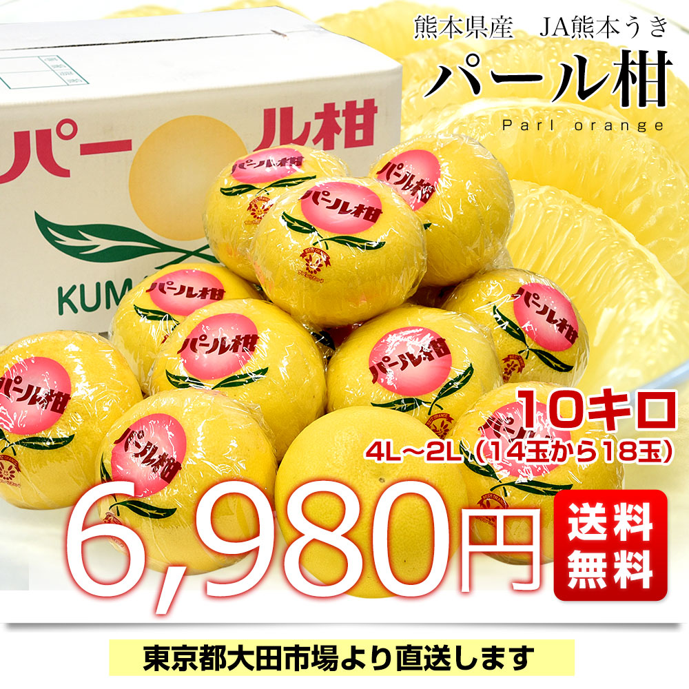 みかん パール柑 10kg 熊本産 ご家庭用 柑橘 果物 フルーツ 送料