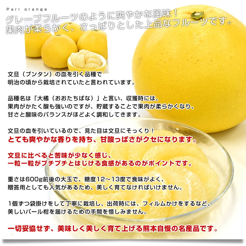 パール柑 熊本産 訳あり 20kg ［10kg×2箱］ 送料無料 九州 熊本