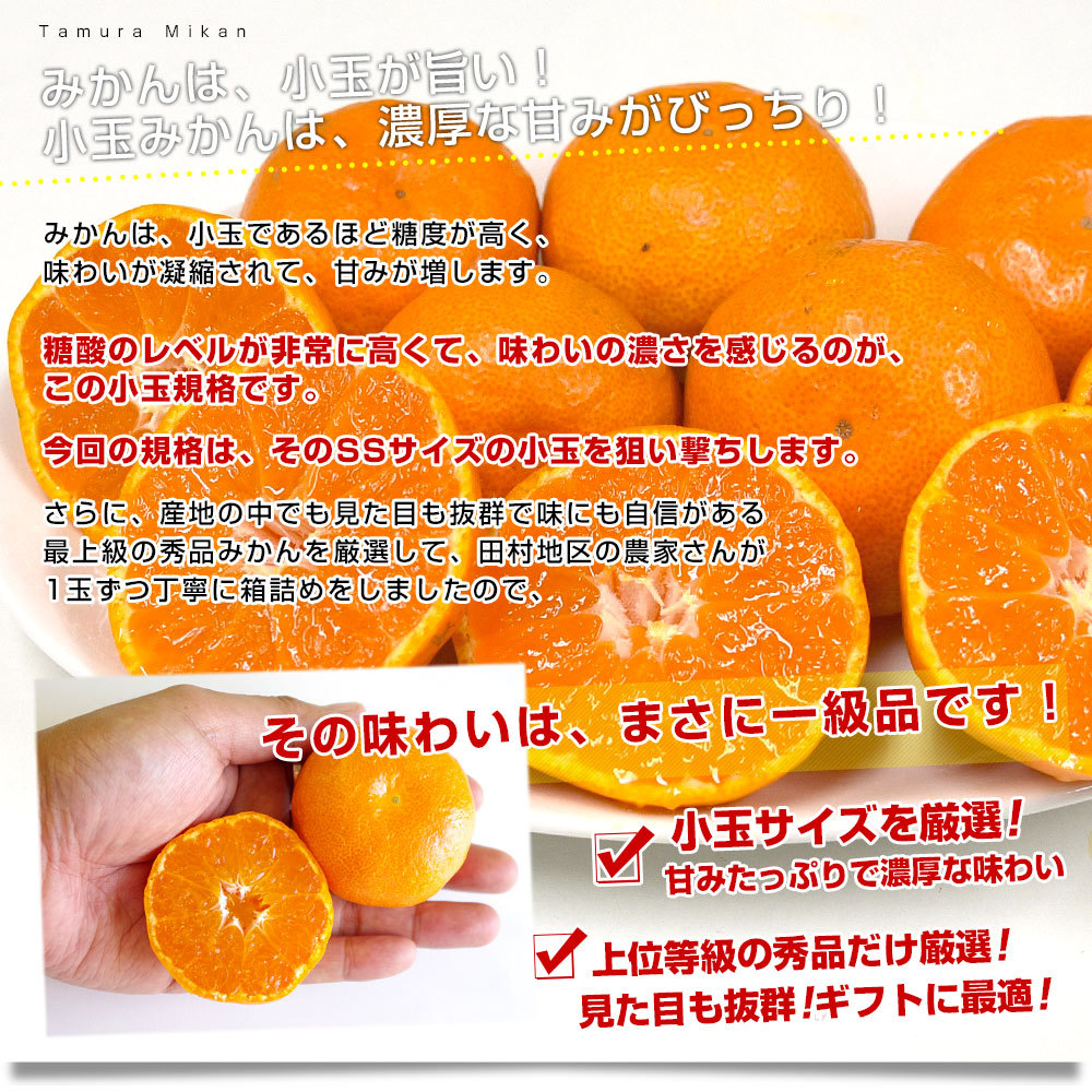和歌山県より産地直送 田村出荷組合 田村みかん（早生温州みかん