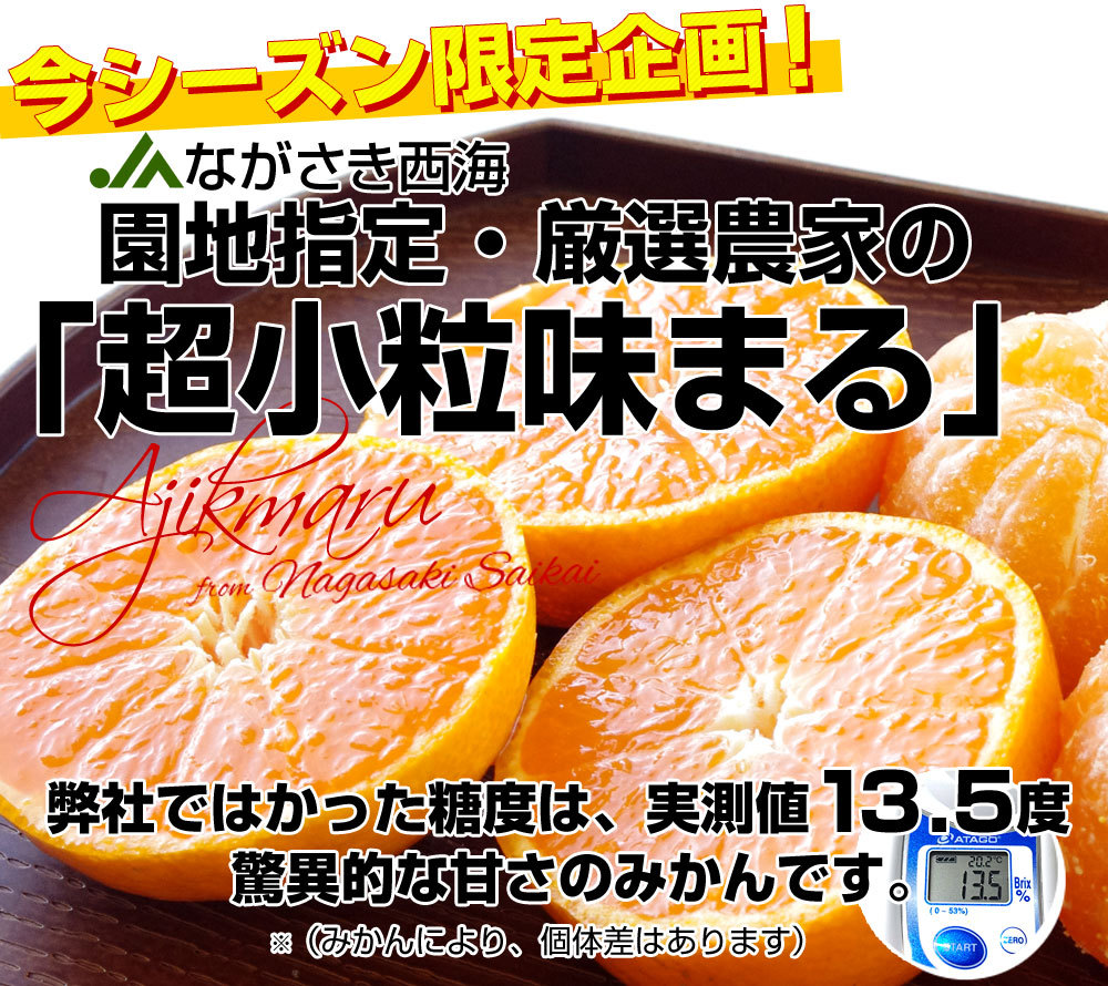 長崎県 JAながさき西海「味まる」2Sから3Sサイズ 超小粒4.5キロ×2箱(合計9キロ 150玉前後)送料無料 みかん ミカン 蜜柑 高糖度みかん