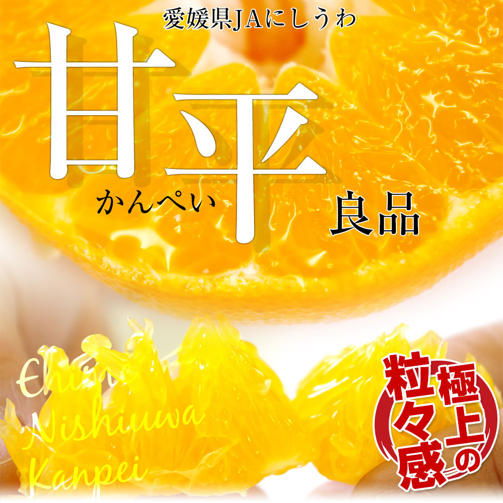 愛媛県より産地直送 JAにしうわ 甘平 (かんぺい) 良品 3LからLサイズ 5キロ (16玉から28玉) 送料無料カンペイ 西宇和 :  1249981582 : 産直だより - 通販 - Yahoo!ショッピング