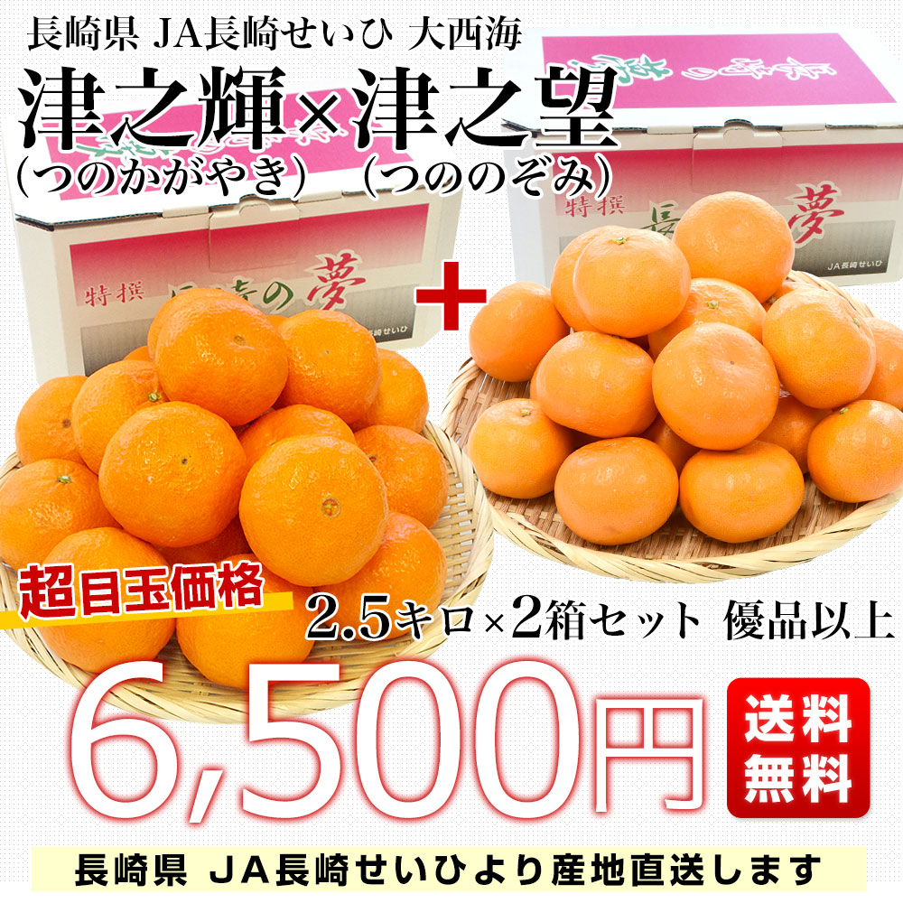 長崎県より産地直送 JA長崎せいひ 津之輝（つのかがやき）×津之望(つののぞみ) 優品以上 2.5キロ×2箱セット 柑橘 オレンジ 津の輝 津の望 from九州 |  | 02