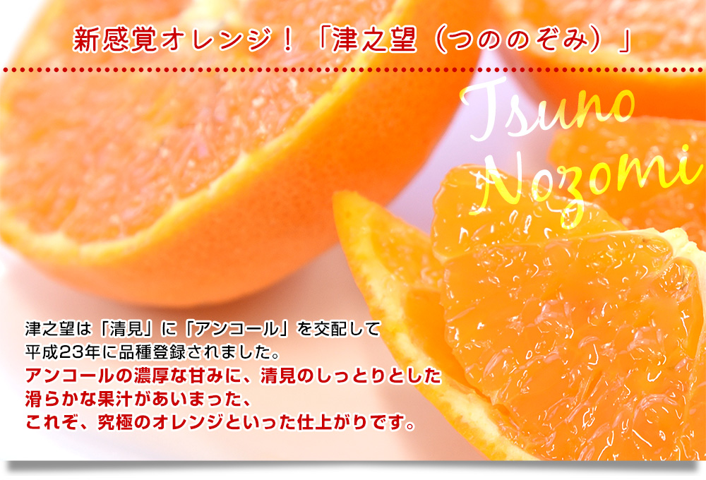長崎県より産地直送 JA長崎せいひ 津之輝（つのかがやき）×津之望(つののぞみ) 優品以上 2.5キロ×2箱セット 柑橘 オレンジ 津の輝 津の望 from九州 |  | 04