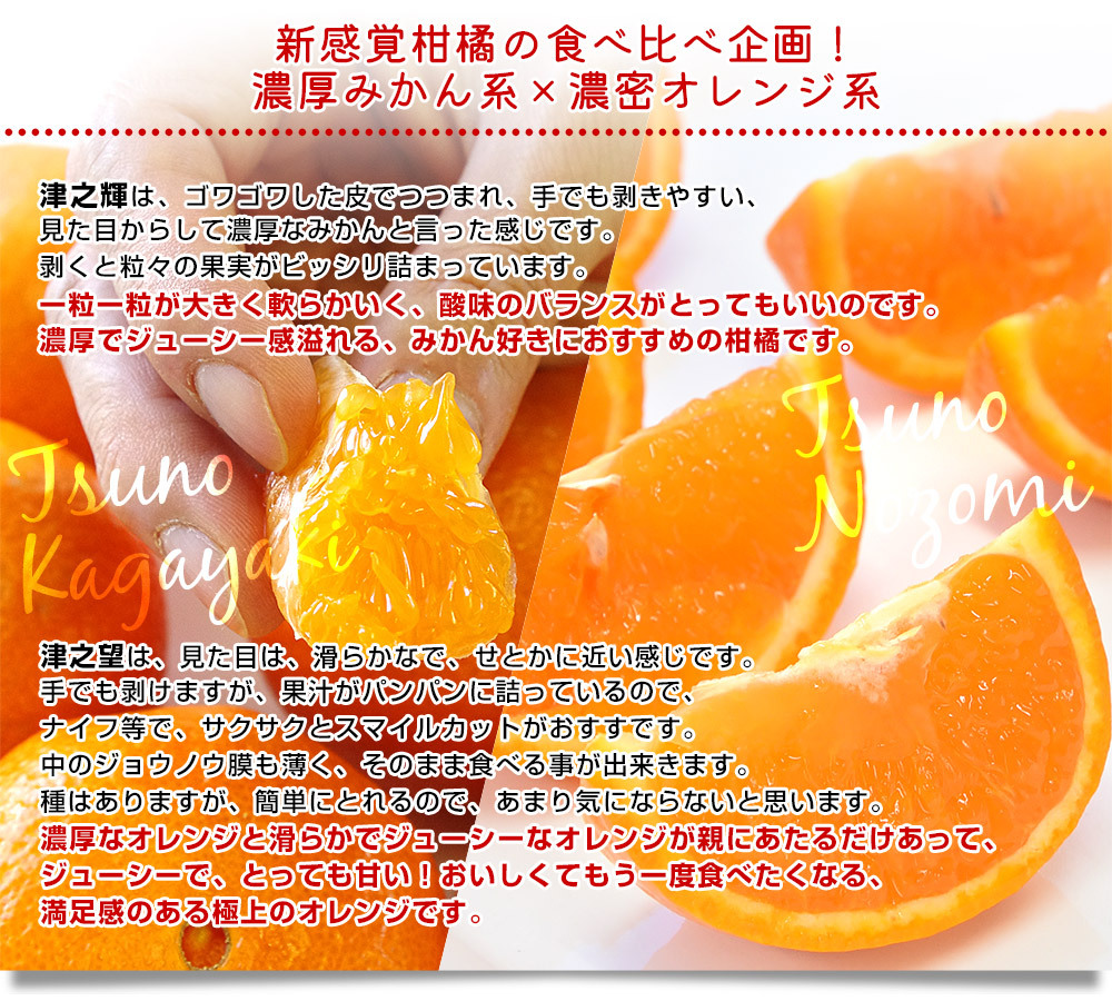 長崎県より産地直送 JA長崎せいひ 津之輝(つのかがやき)×津之望(つの