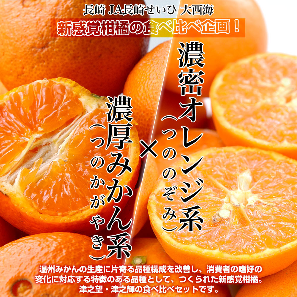 長崎県より産地直送 JA長崎せいひ 津之輝(つのかがやき)×津之望(つの