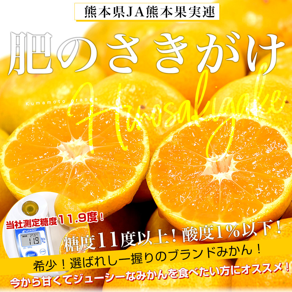 熊本県 JA熊本果実連 肥のさきがけ 約5キロ Sサイズ（60玉前後） 送料