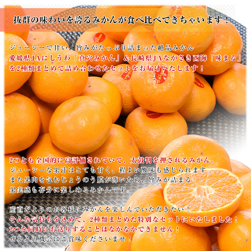 真穴みかん 商品一覧 - 産直だより - 売れ筋通販 - Yahoo!ショッピング