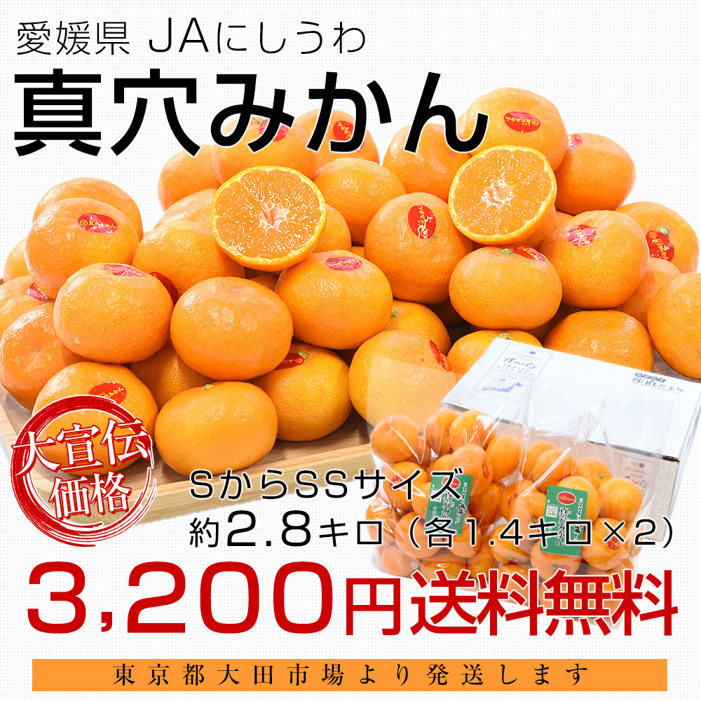 愛媛県 JAにしうわ 真穴みかん 約2.8キロ(1.4キロ×2袋) SからSSサイズ 送料無料 ミカン 蜜柑 まあなみかん 愛媛みかん 市場発送 :  9038883072 : 産直だより - 通販 - Yahoo!ショッピング